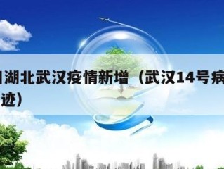 14日湖北武汉疫情新增（武汉14号病例活动轨迹）