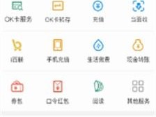 OKPAY钱包官网绿色版V28.89.212.153安卓系统版本-推荐